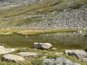 IMG 6199