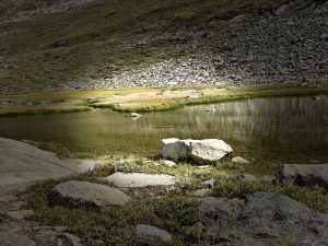 IMG E6200